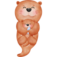 carino lontra, lontre, lontra illustrazione, acquerello lontra, acquerello animale, animale illustrazione png