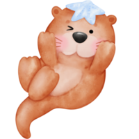 carino lontra, lontre, lontra illustrazione, acquerello lontra, acquerello animale, animale illustrazione png