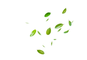 Green Floating Leaves Flying Leaves Green Leaf Dancing, Air Purifier Atmosphere Simple Main Picture png