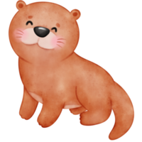 carino lontra, lontre, lontra illustrazione, acquerello lontra, acquerello animale, animale illustrazione png