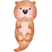 mignonne loutre, les loutres, loutre illustration, aquarelle loutre, aquarelle animal, animal illustration png