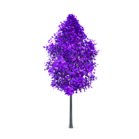 Colorful tree isolated on transparent png