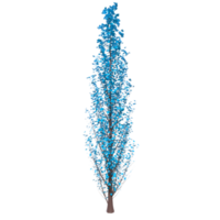 Tree isolated on transparent png