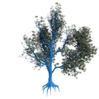 albero isolato su trasparente png