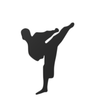 Karate Junge isoliert auf transparent png