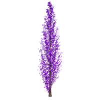 Tree isolated on transparent png