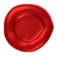 Blood cell isolated on transparent png