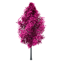 Colorful tree isolated on transparent png