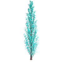 Tree isolated on transparent png