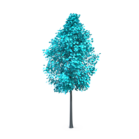 vistoso árbol aislado en transparente png