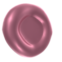 sangue cellula isolato su trasparente png