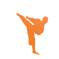 Karate boy isolated on transparent png