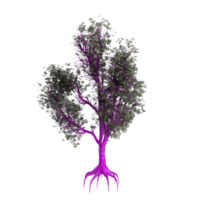 Baum isoliert auf transparent png