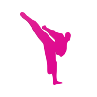 Karate Junge isoliert auf transparent png