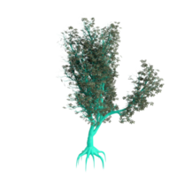 arbre isolé sur transparent png