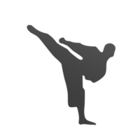 Karate Junge isoliert auf transparent png