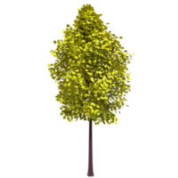 Colorful tree isolated on transparent png