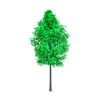 Colorful tree isolated on transparent png