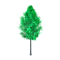 Colorful tree isolated on transparent png