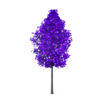 Colorful tree isolated on transparent png