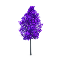 Colorful tree isolated on transparent png