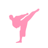 karate pojke isolerat på transparent png