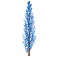 Tree isolated on transparent png