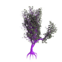 árbol aislado en transparente png