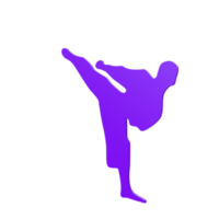 karate jongen geïsoleerd Aan transparant png