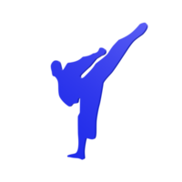 Karate boy isolated on transparent png