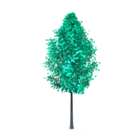 Colorful tree isolated on transparent png