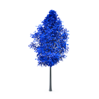 Colorful tree isolated on transparent png