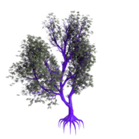 árbol aislado en transparente png