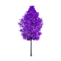 bunt Baum isoliert auf transparent png