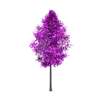 Colorful tree isolated on transparent png