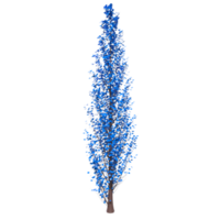 Tree isolated on transparent png