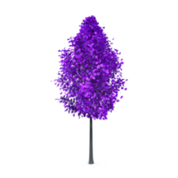 Colorful tree isolated on transparent png