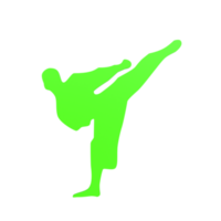 Karate boy isolated on transparent png