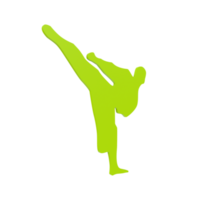 karate pojke isolerat på transparent png