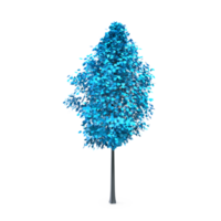 Colorful tree isolated on transparent png