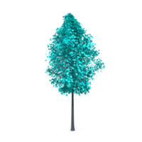 Colorful tree isolated on transparent png