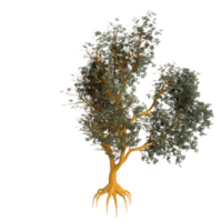 árbol aislado en transparente png