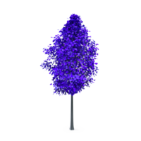 Colorful tree isolated on transparent png