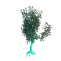 árbol aislado en transparente png