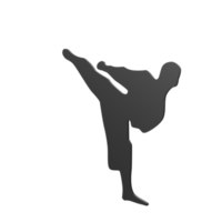 karate pojke isolerat på transparent png