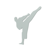 Karate boy isolated on transparent png
