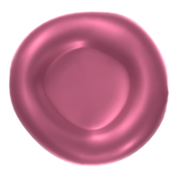sangue célula isolado em transparente png
