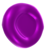 Blood cell isolated on transparent png