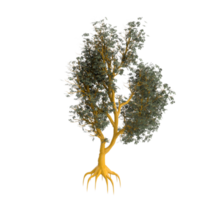 árbol aislado en transparente png