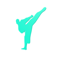 Karate boy isolated on transparent png